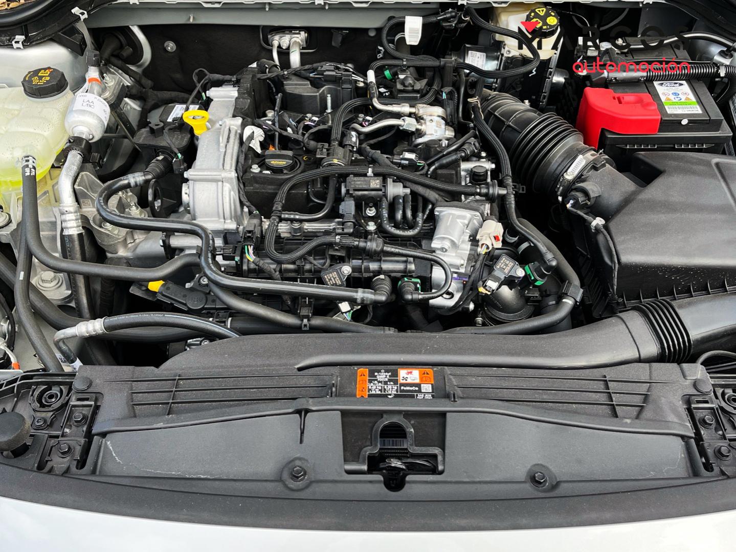 Foto Ford Focus 14