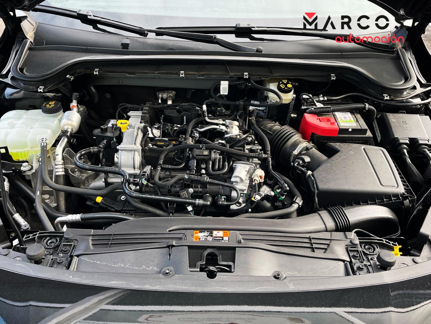 Foto Ford Focus 14