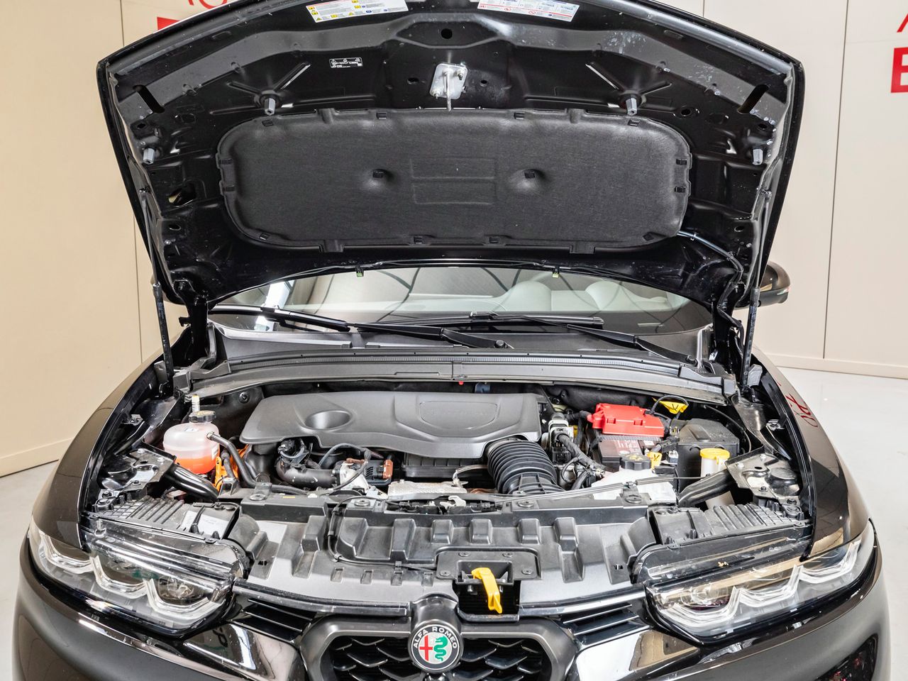 Foto Alfa Romeo Tonale 30