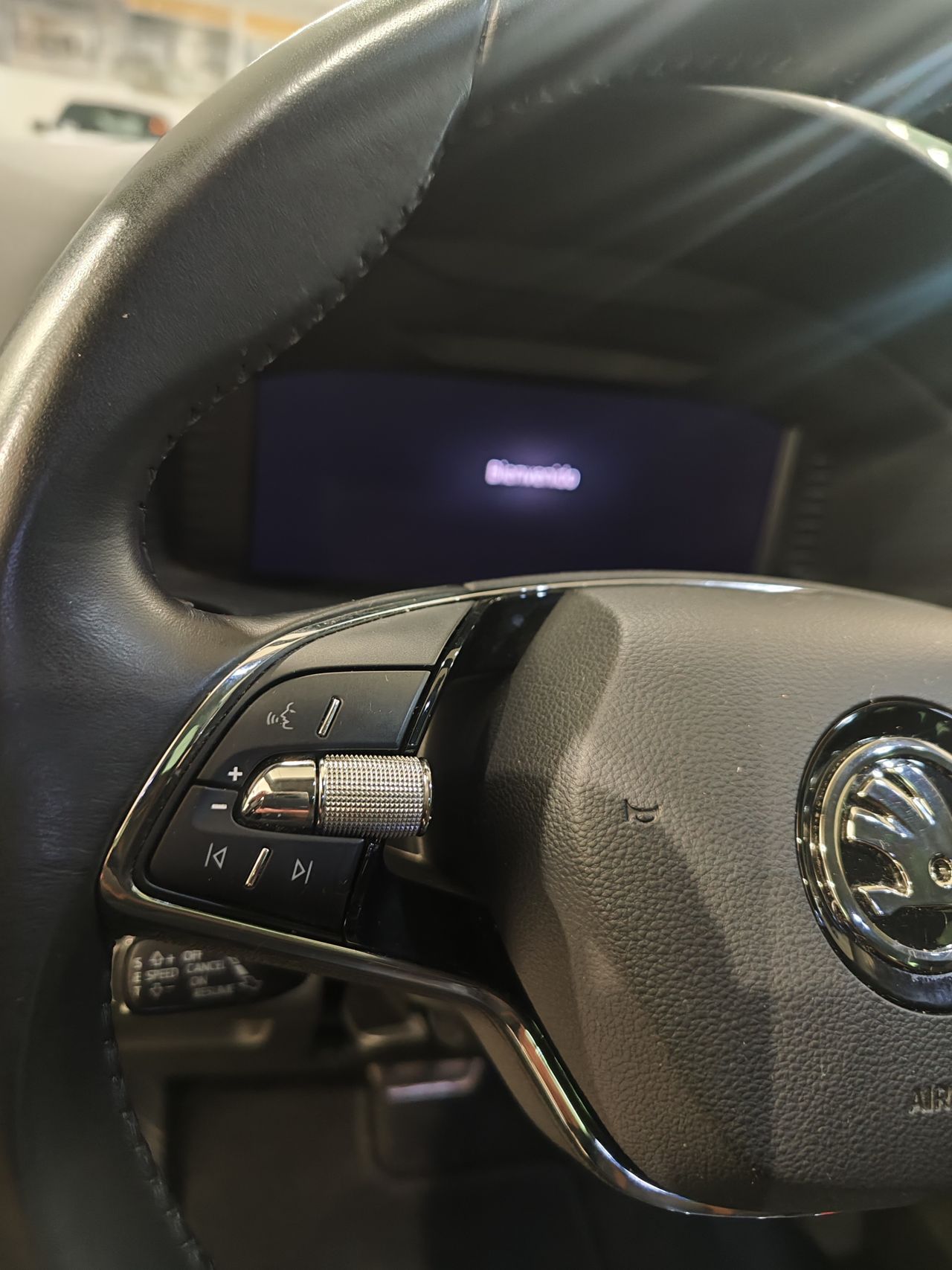Foto Skoda Karoq 12