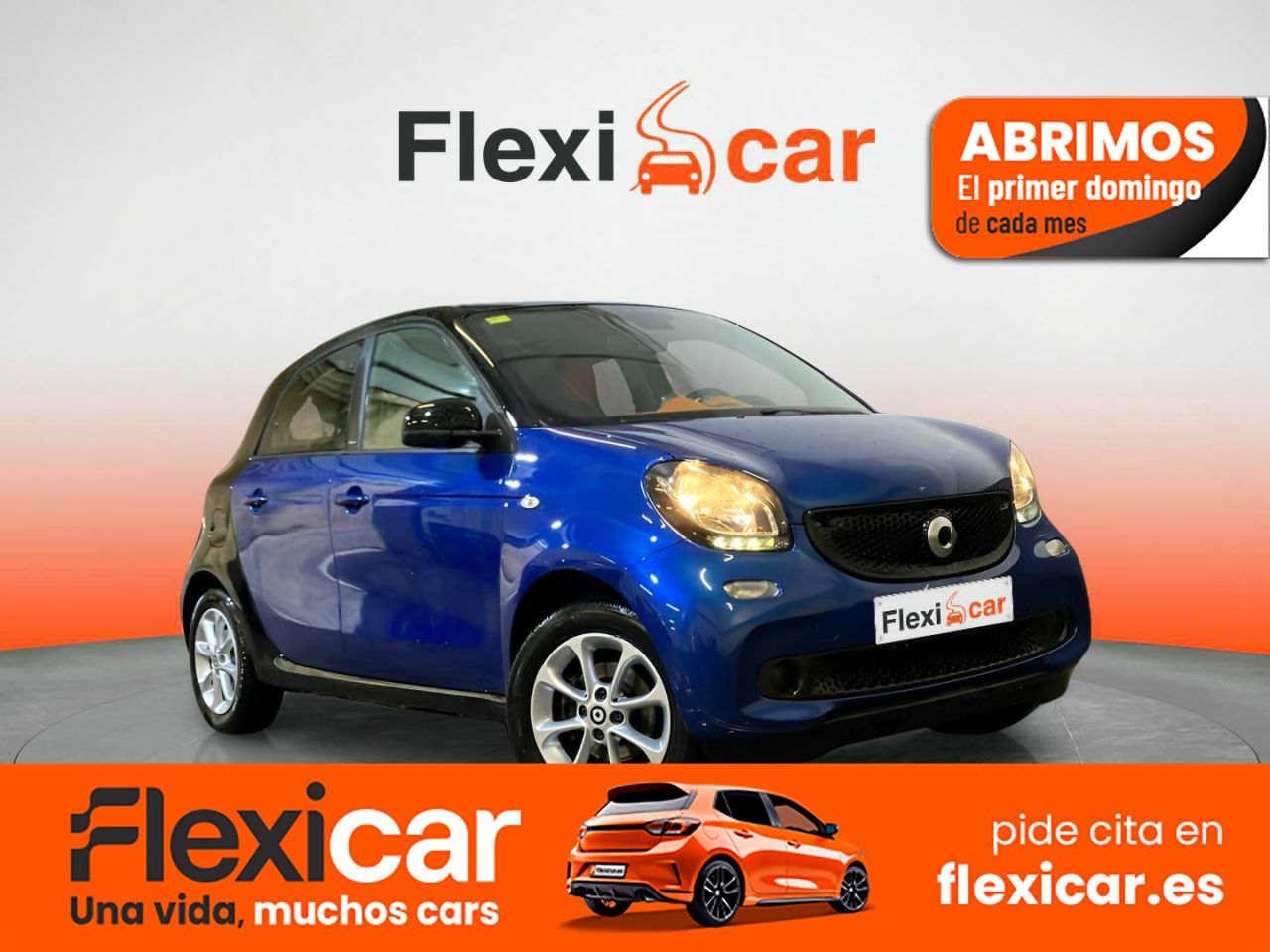 Foto Smart Forfour 1