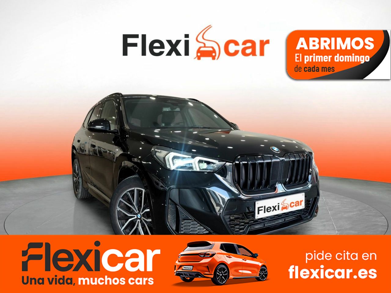 Foto BMW X1 1