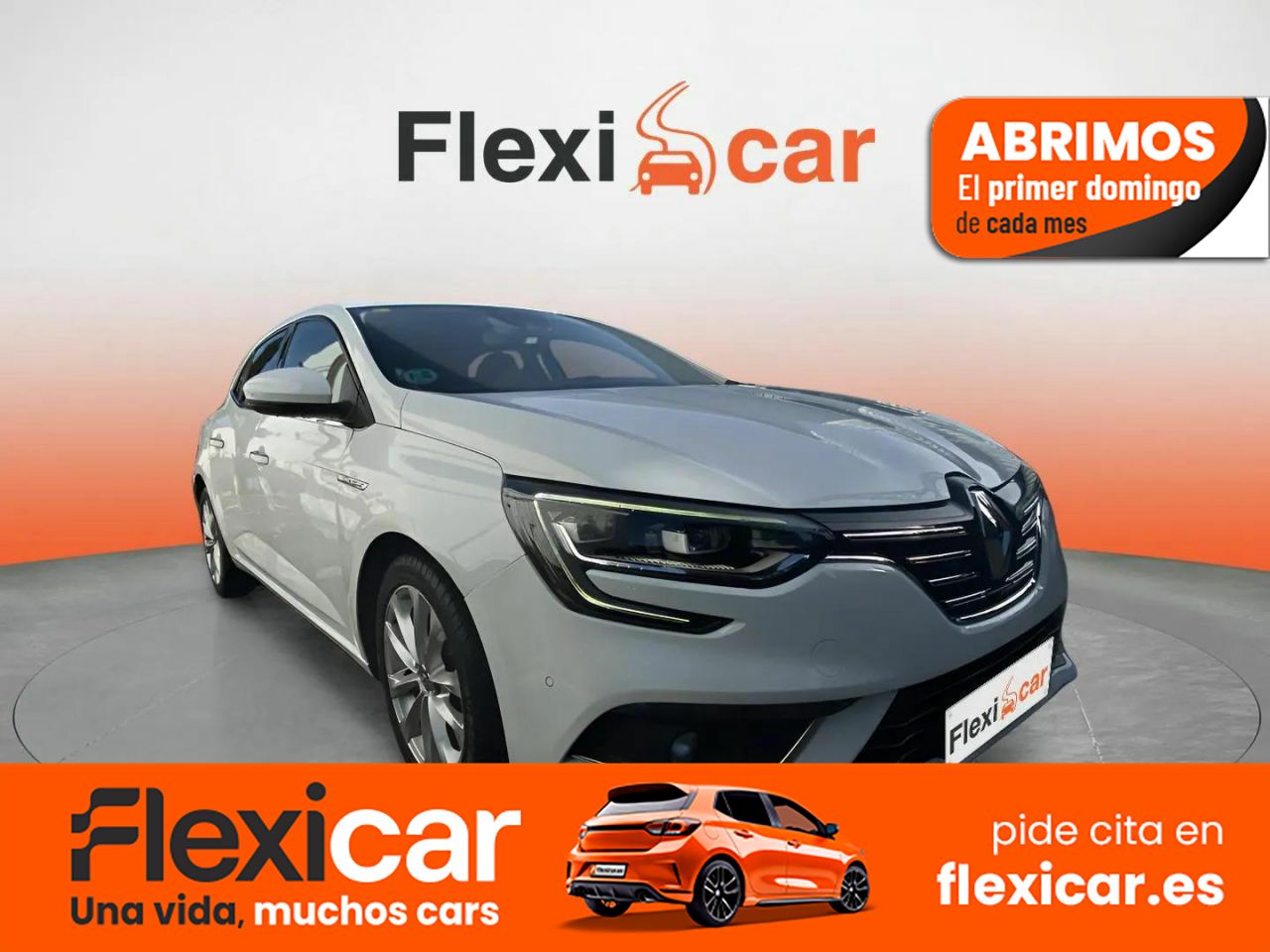 Foto Renault Mégane 1
