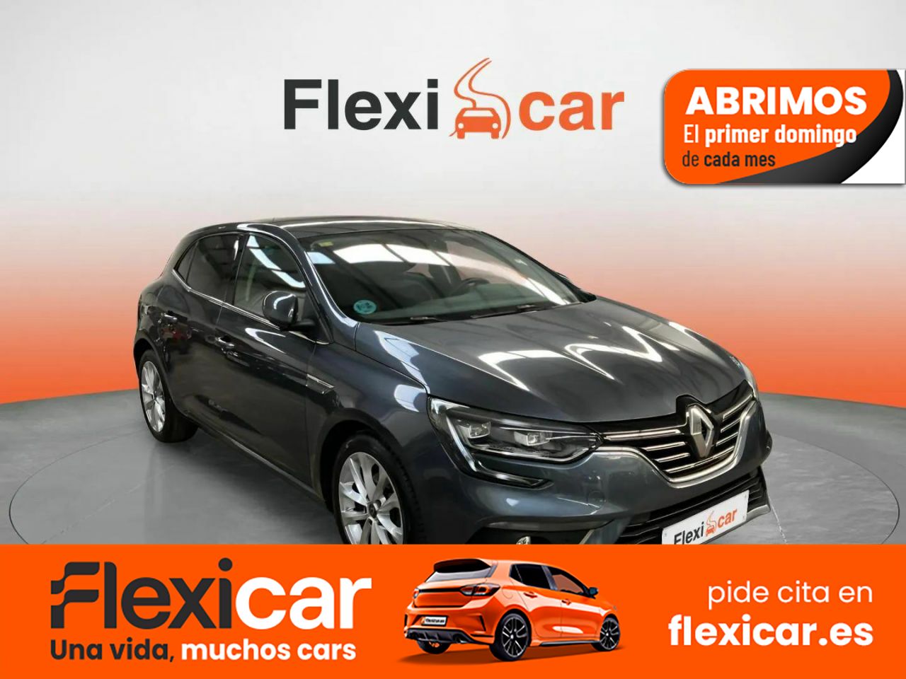Foto Renault Mégane 1