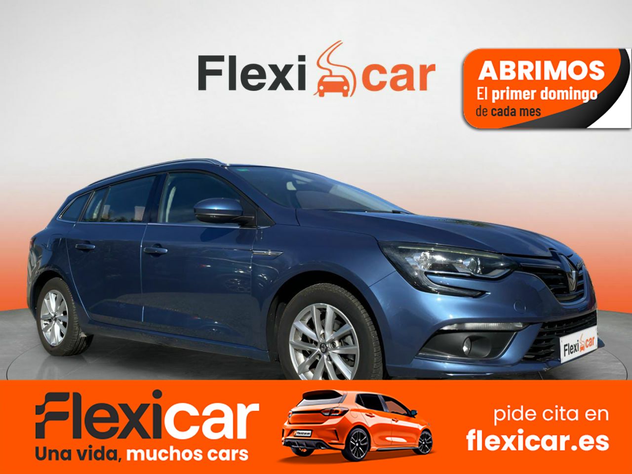 Foto Renault Mégane 1