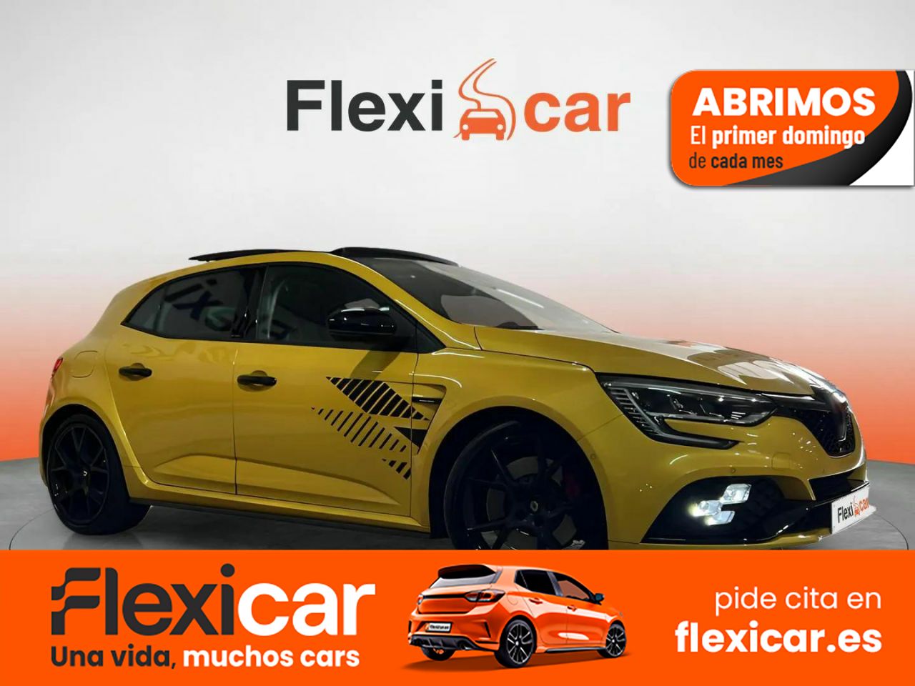 Foto Renault Mégane 1