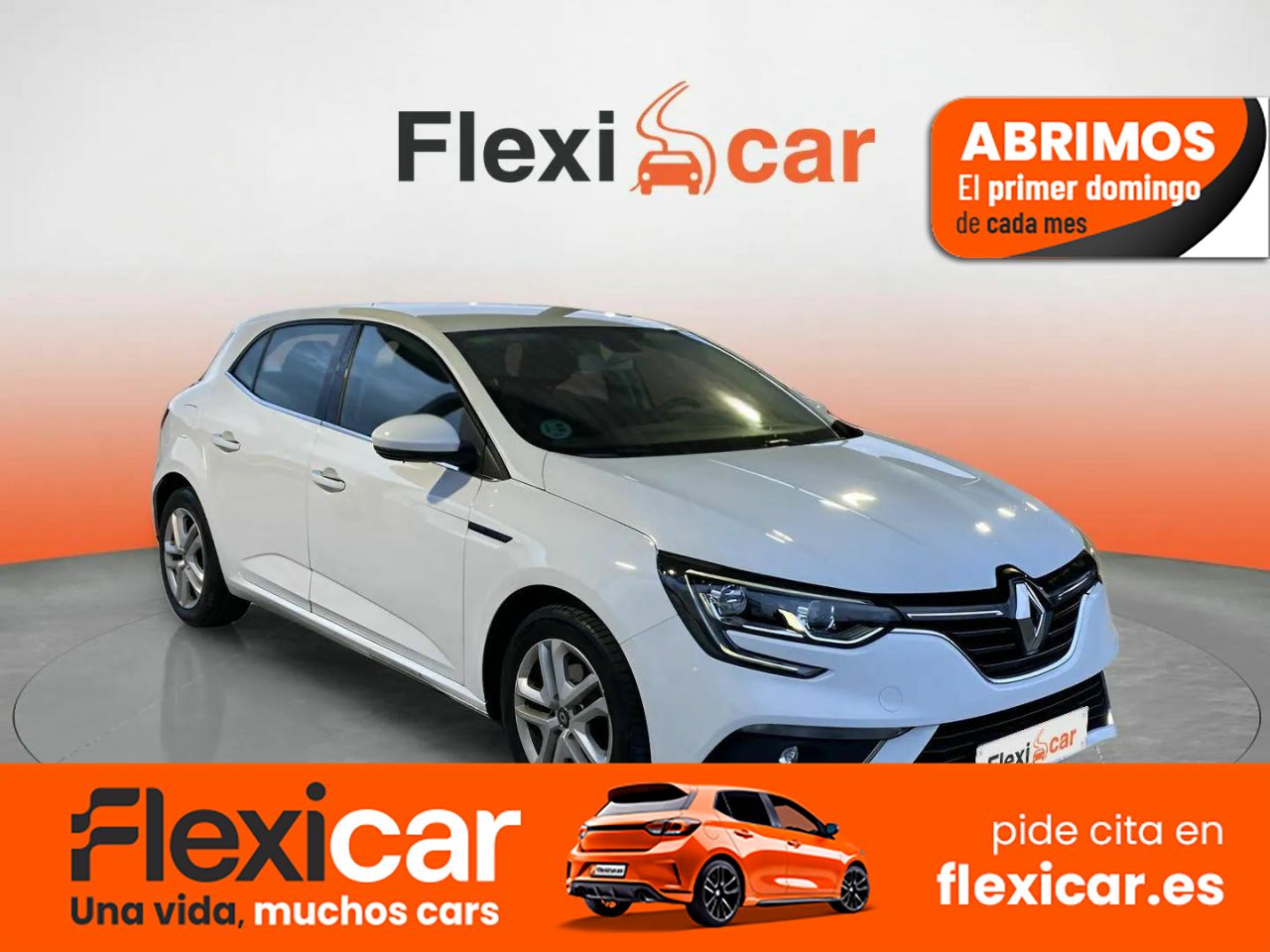 Foto Renault Mégane 1