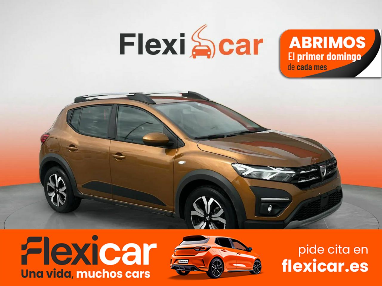 Foto Dacia Sandero 1