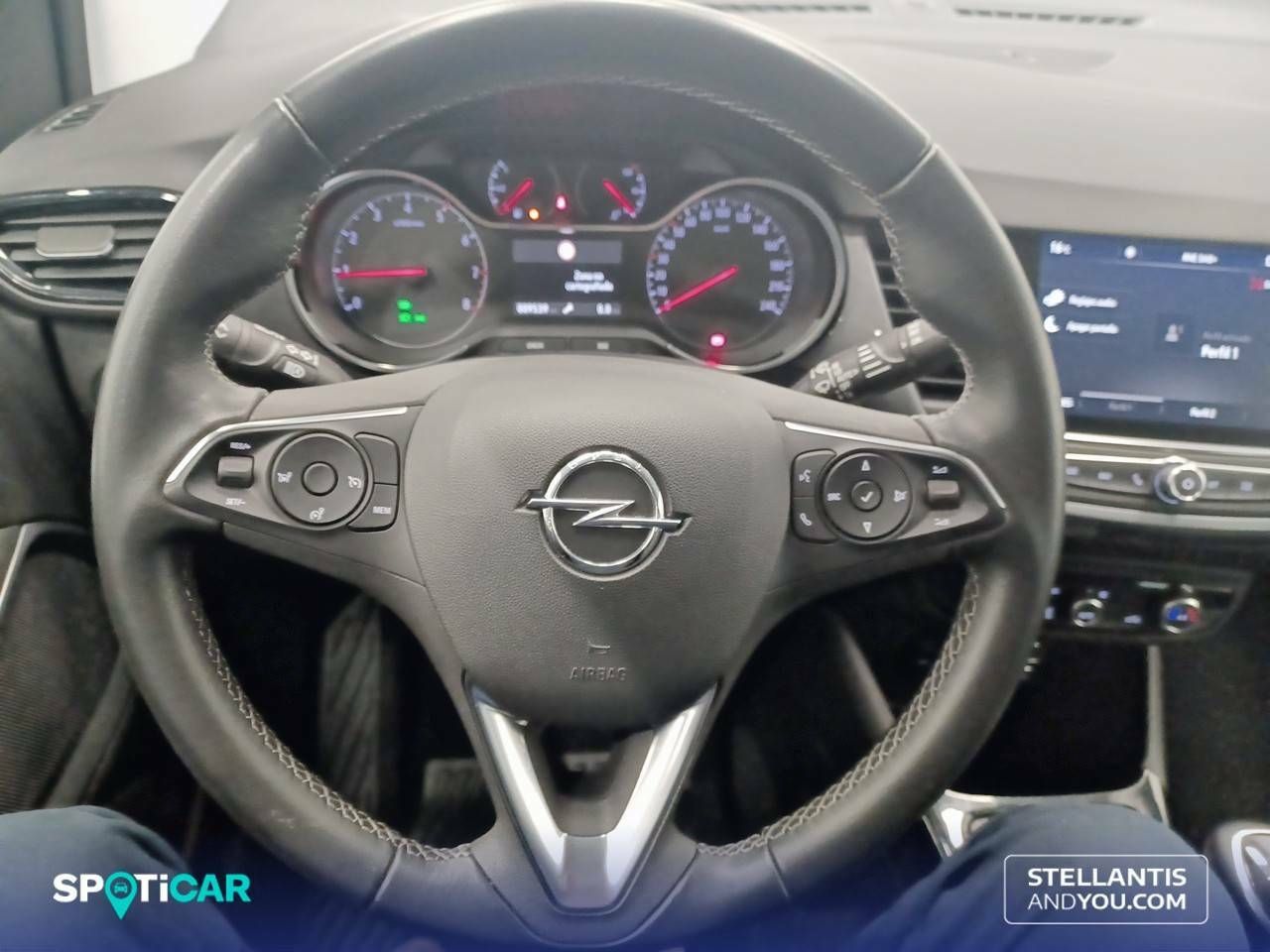 Foto Opel CrossLand 13