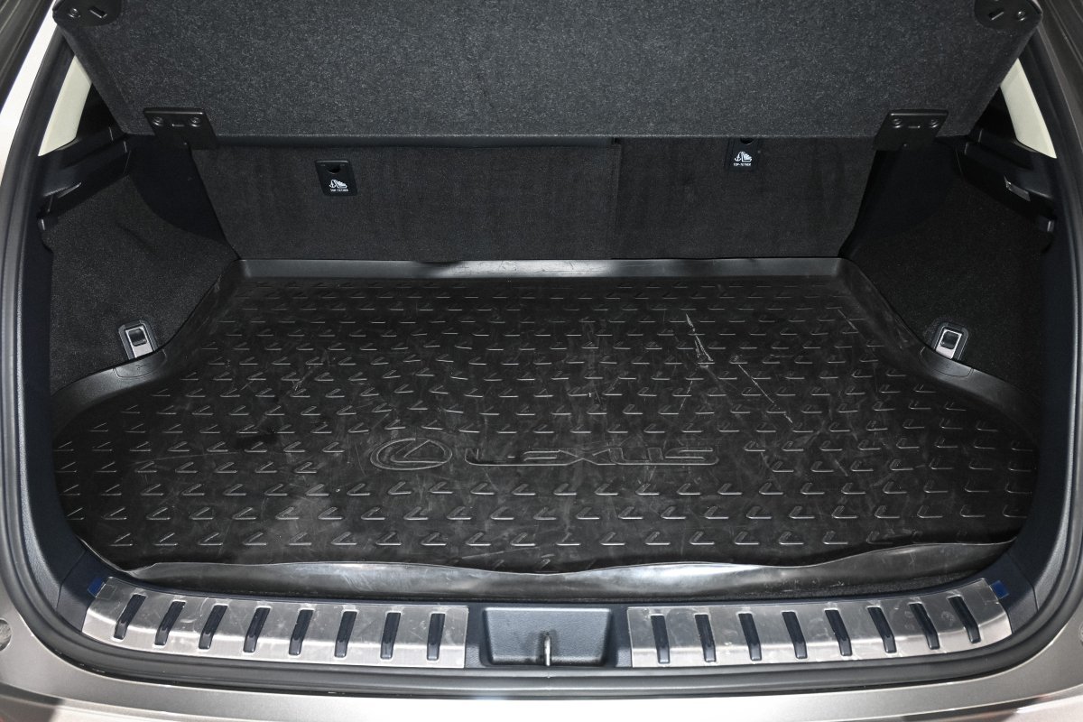 Foto Lexus NX 8