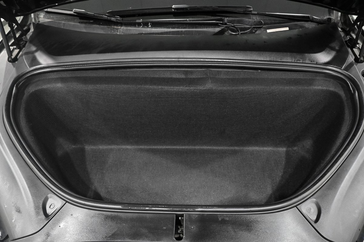 Foto Tesla Model X 9