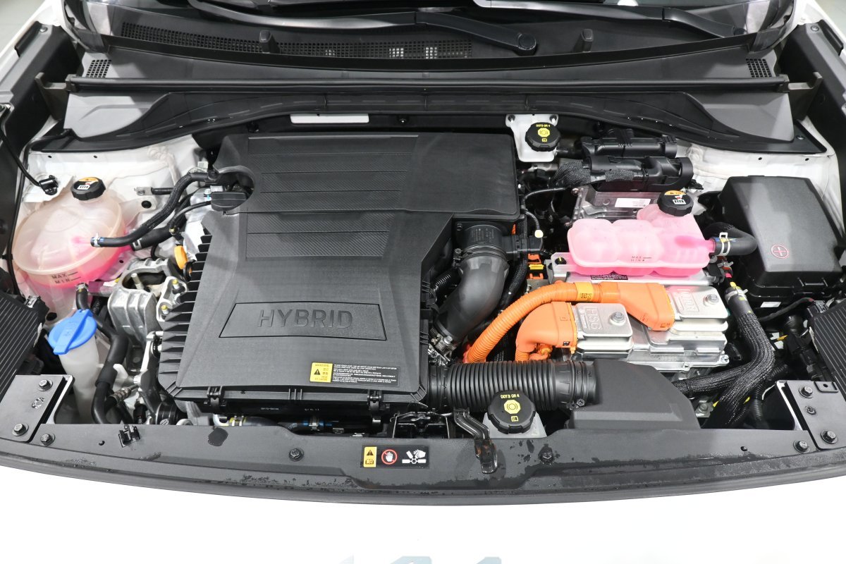 Foto Kia Niro 7