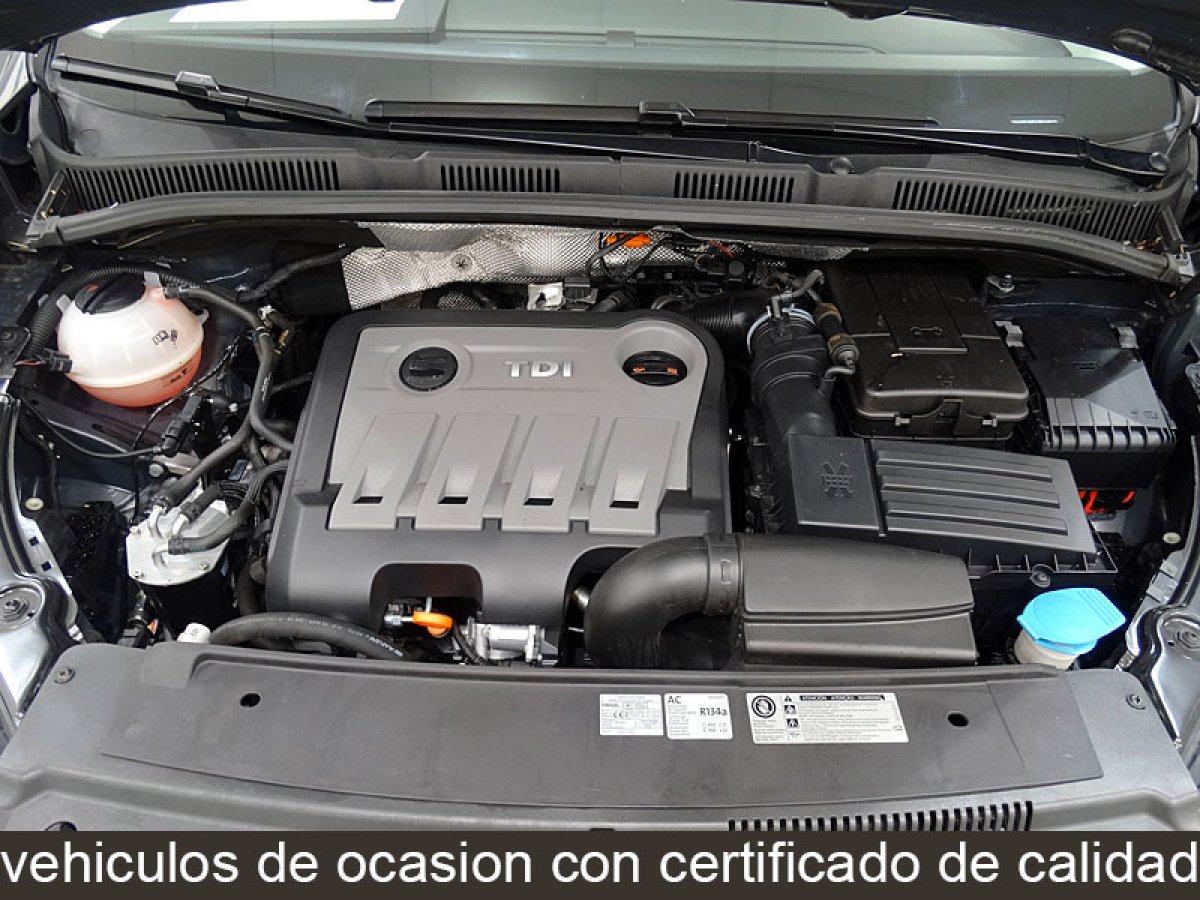 Foto Seat Alhambra 12